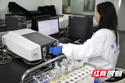 常德水文中心推出灌區水質監測服務，水資源管理網絡技術再添新翼